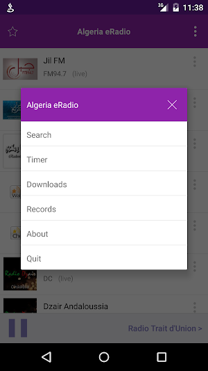 Algeria Radio Screenshot 2