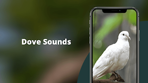 Dove Sounds - Dove Calls for Hunting Screenshot 1