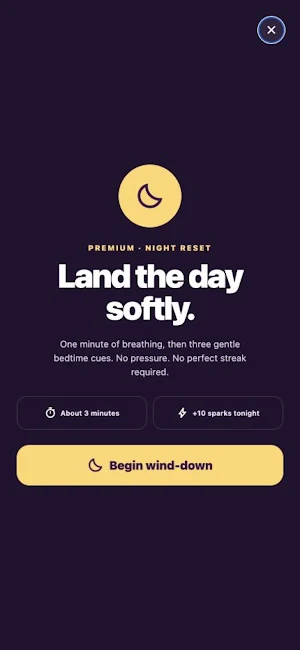 SparkReset Screenshot 2