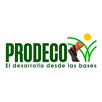 Data Collector Prodeco Bolivia