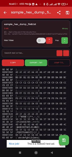 Bin File Viewer Screenshot 1
