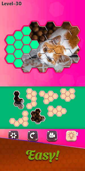 Block Hexa Puzzle - Cats Jigsaw Screenshot 0