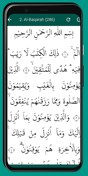 Al Quran Indonesia (Terjemah) Screenshot 2