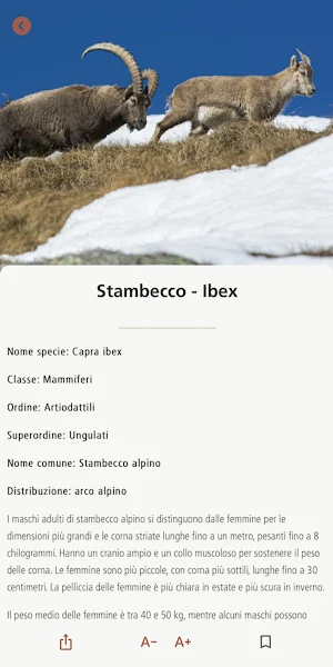 Parchi Valsesia Screenshot 1