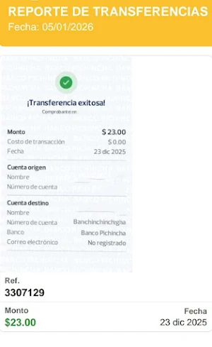VECI Screenshot 3