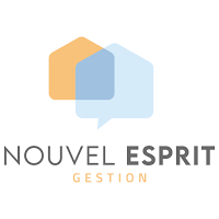 Nouvel Esprit Gestion