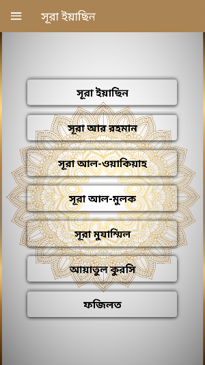 Surah Yasin, Ar-Rahman, Ayatul kursi (Offline) Screenshot 1