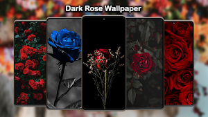 Dark Rose Wallpaper Screenshot 0
