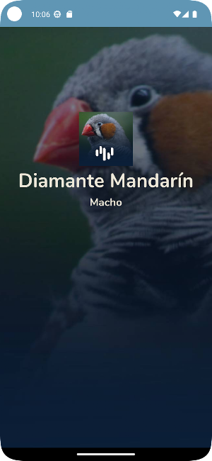 Canto Diamante Mandarín Macho Screenshot 3