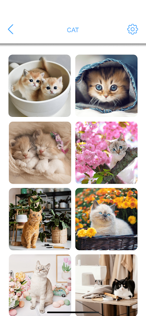 Jigsaw Puzzles - Rotate Puzzle Screenshot 3