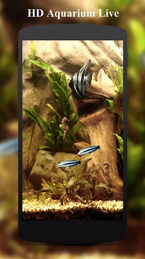 HD Aquarium Live Wallpaper 3D Screenshot 2
