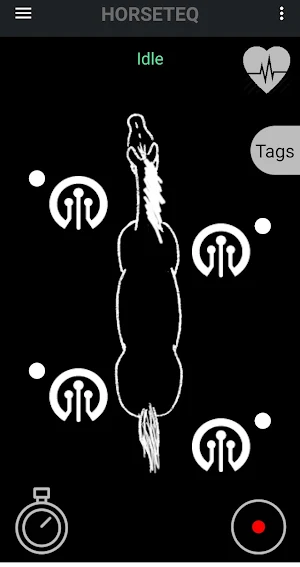 Horseteq Screenshot 0