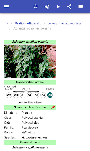 Medicinal herbs Screenshot 3
