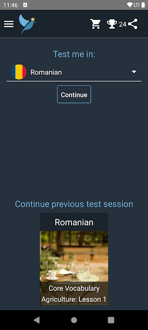 Romanian Language Tests Screenshot 0