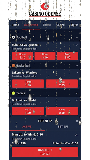 Casino Odense Screenshot 0