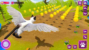 Flying Wild Cat Care Sim 3D Screenshot 3