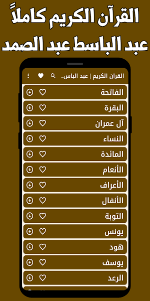 القران كامل عبد الباسط بدون نت Screenshot 0