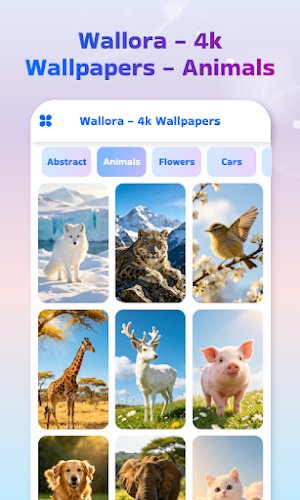Wallpaper World HD Screenshot 1