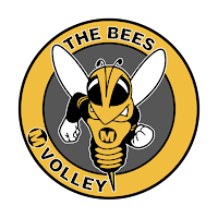 Mvolley Sport