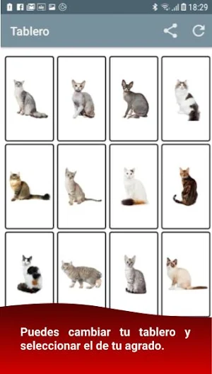 Baraja y Carta - Lotería Gatitos Screenshot 3
