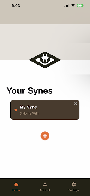 Syne Screenshot 2