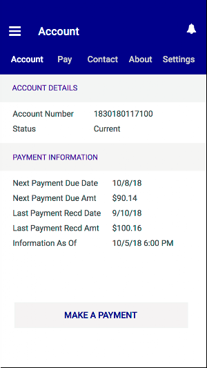 P1 Finance Screenshot 2