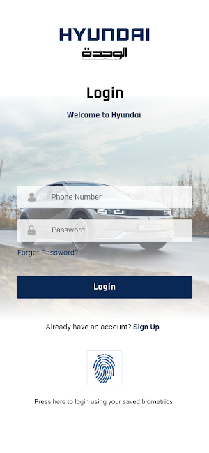 Hyundai - Jordan Screenshot 0