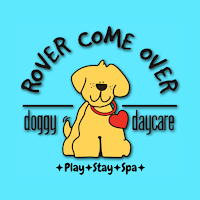 Rover Come Over Doggy Daycare