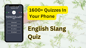 English Slang Quiz Screenshot 2