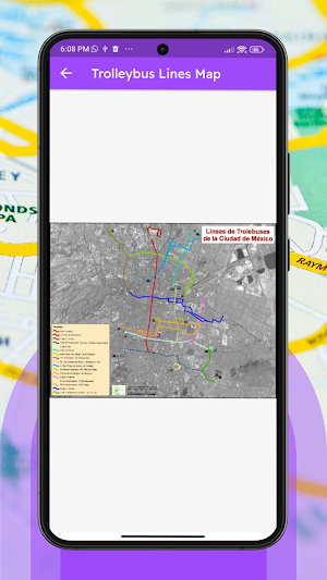 Mexico City Metro Map Offline Screenshot 3