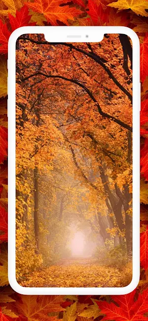 Autumn Live Wallpapers Screenshot 2