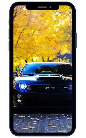 American Muscle CarsWallpapers Screenshot 0