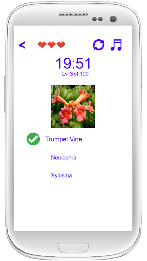 Florizz - Flower Fast Quiz Screenshot 1