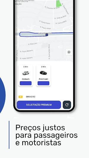 Meu Piloto Motorista Screenshot 2