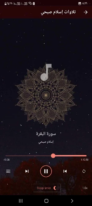 تلاوات اسلام صبحي بدون انترنت Screenshot 1