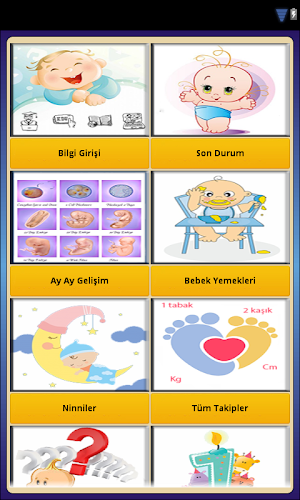 Bebek Takibi Bakımı Gelişimi Screenshot 1