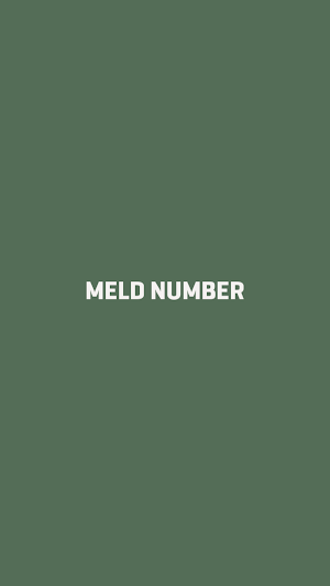 MeldNumber Screenshot 0