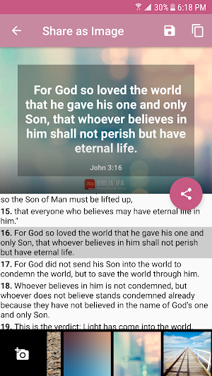 Woman Bible Screenshot 2