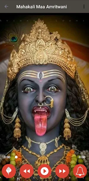 Shree Mahakali Amritwani Screenshot 1