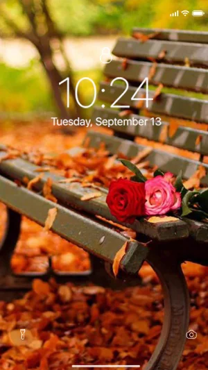 Autumn Wallpaper Screenshot 0