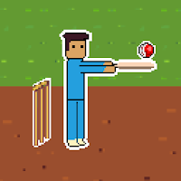 Pixel Cricket