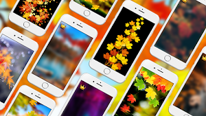 Autumn Wallpapers PRO Screenshot 0