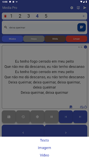 Media Pro Screenshot 2