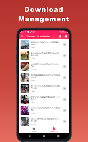 Video Downloader for Pinterest Screenshot 1