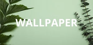 Wallpaper Tulip Screenshot 3