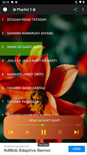 Dangdut Minang Album Koplo Screenshot 2