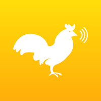Chicken Sounds & Clucking
