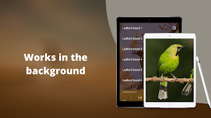 Leafbird Sounds Screenshot 2