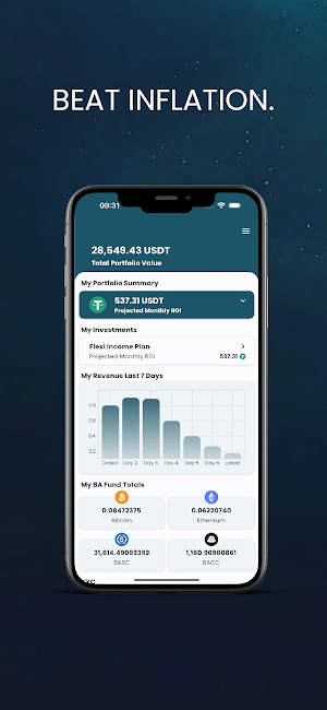 BlueAsset Screenshot 2