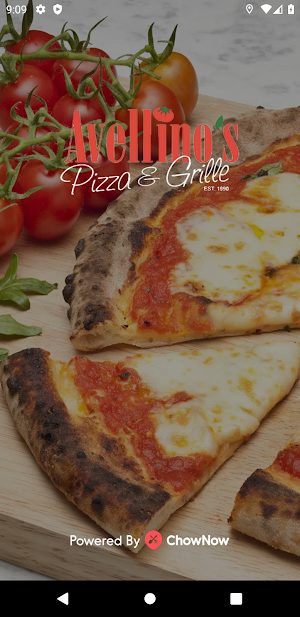 Avellino's Pizza & Grille Screenshot 0
